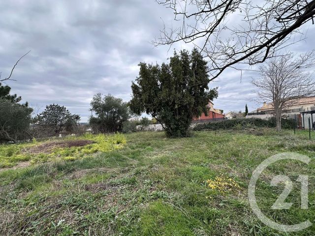 Terrain à vendre - 544 m2 - Meze - 34 - LANGUEDOC-ROUSSILLON